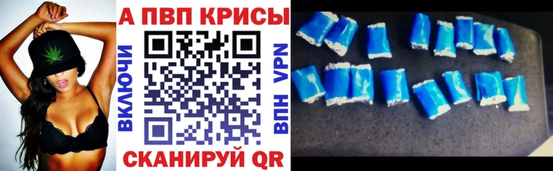 как найти закладки  Жердевка  blacksprut как войти  Alpha PVP СК КРИС 