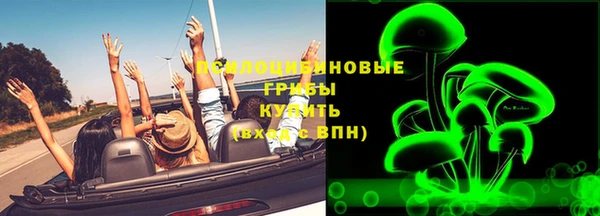 трава Белокуриха