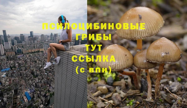 стафф Беломорск