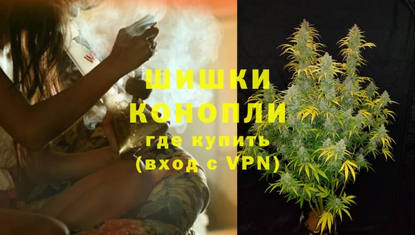 трава Белокуриха