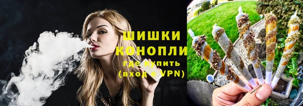 трава Белокуриха