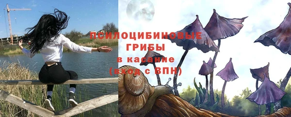 трава Белокуриха